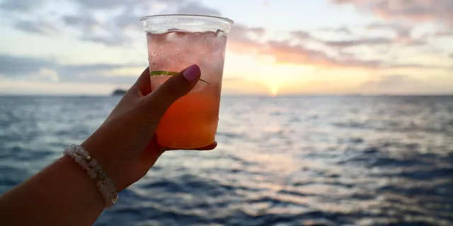 Waikoloa Catamaran Sunset Sail - Image 3