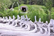 Whittier to Anchorage Cultural Exploration thumbnail 4