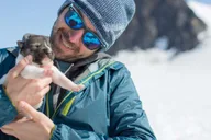 Seward Helicopter Glacier Dogsled Tour thumbnail 4