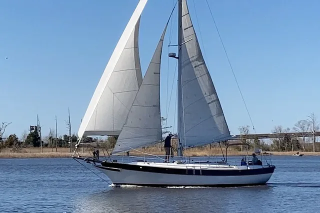 Wilmington Sailing Charter - Image 6