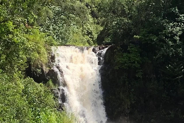 Oahu North Shore Eat & See Tour - Image 6