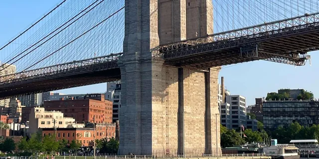 New York Brooklyn Bridge and DUMBO Walking Tour - Image 2