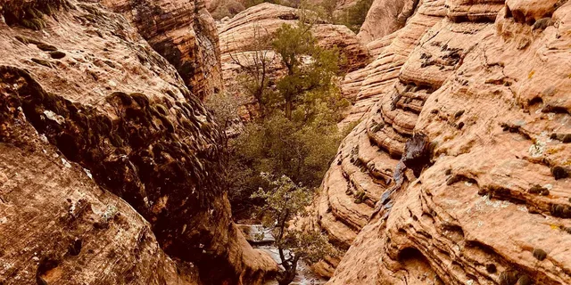 St. George Jeep Tour Slot Canyon & Rock Formations 4 hr - Image 3