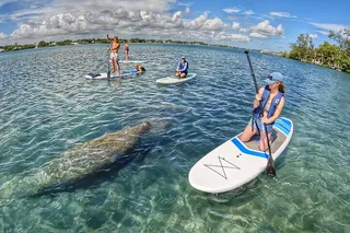 Jupiter Paddle Boarding Eco Adventure