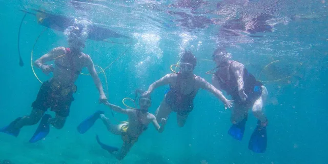 Kauai SNUBA Diving Experience - Image 3