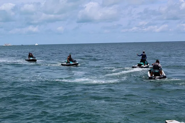 Miami Key West Dolphin Discovery and Snorkeling - Image 6