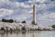 Washington DC Monuments Bus Tour thumbnail 1