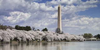 Washington DC Monuments Bus Tour