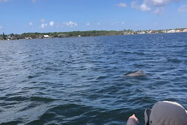 Cocoa Beach Dolphin Catamaran Sail - Image 3