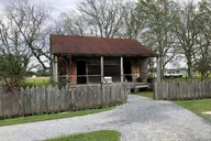 New Orleans Airboat and Plantations Tour with Lunch thumbnail 6