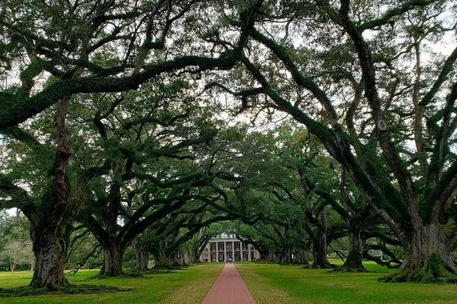 New Orleans Oak Alley Plantation Tour with Transportation - Image 4