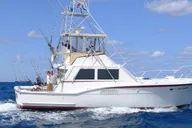 Fort Lauderdale Sportfishing Charter 4 hr thumbnail 2