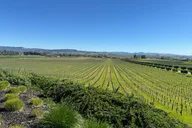 Napa Valley Private Custom Wine Tour thumbnail 4
