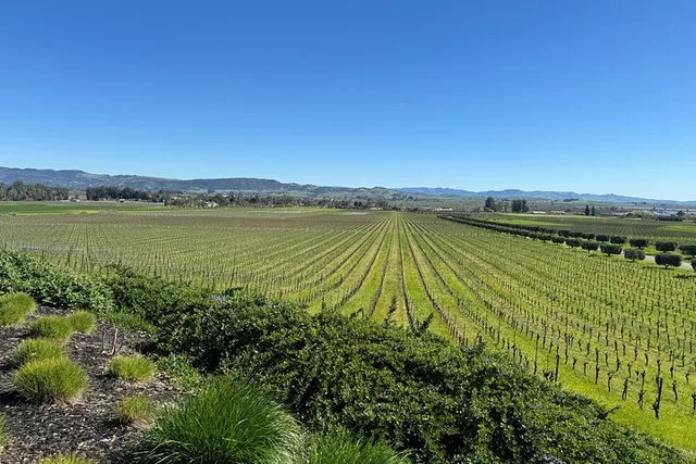 Napa Valley Private Custom Wine Tour - Image 4