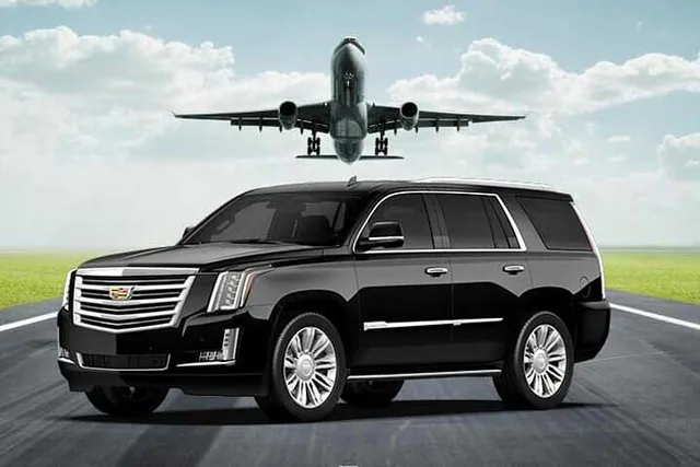 Tampa Private Transfer to Spring Hill - Image 3