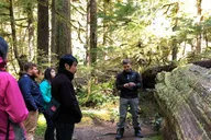 Seattle Longmire Winter Day Tour on Mount Rainier thumbnail 2