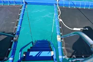 Oahu Catamaran Snorkel Tour with Turtle Sighting 2 hr thumbnail 3