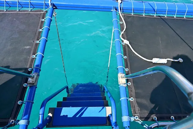 Oahu Catamaran Snorkel Tour with Turtle Sighting 2 hr - Image 3