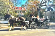 Charleston Historic Horse & Carriage Tour thumbnail 2