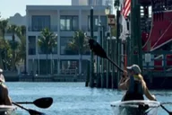 Tarpon Springs Clear Kayak Tour thumbnail 6