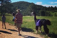 Rocky Mountains Llama Hike thumbnail 1