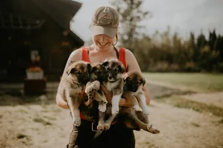 Fairbanks Kennel Visit at Trail Breaker