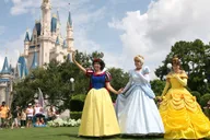 Orlando Day Trip from Miami with Theme Park Admission thumbnail 6