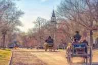 Williamsburg Colonial Exploration Game thumbnail 5