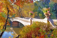 New York City Electric Scooter Tour in Central Park thumbnail 6