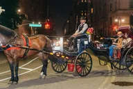 New York City Moonlight Horse Carriage Ride thumbnail 3