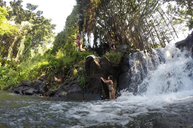 Hawaii Full Day Adventure - Image 3