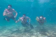 Kauai SNUBA Diving Experience thumbnail 4