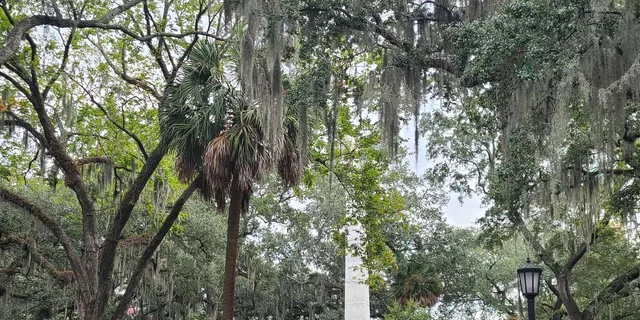 Savannah Old Town Hop-On Hop-Off Trolley Tour - Image 3
