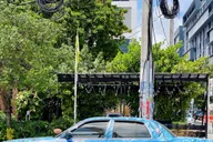 Miami Wynwood Walking Tour in French 2 hr thumbnail 4