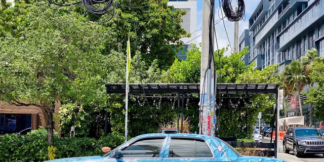Miami Wynwood Walking Tour in French 2 hr - Image 4