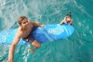 Honolulu Turtle Snorkeling Tour thumbnail 4