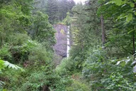 Portland Vistas, Falls & Gardens Tour thumbnail 5