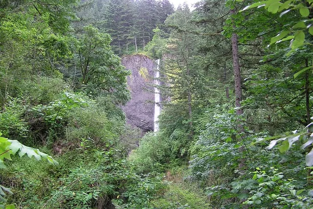Portland Vistas, Falls & Gardens Tour - Image 5