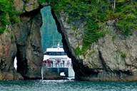 Seward Kenai Fjords National Park Cruise 7 hr thumbnail 3