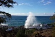 Kauai Private Tour: Waimea Canyon and Southside thumbnail 2