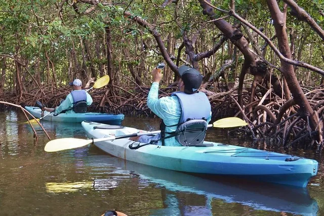 Marco Island Mangrove Kayak Tour with Photographer - Image 3
