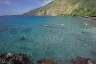 Kona Bee Farm and Coffee National Parks Tour thumbnail 5