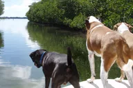 Islamorada Private Boat Tour with Snorkeling thumbnail 2