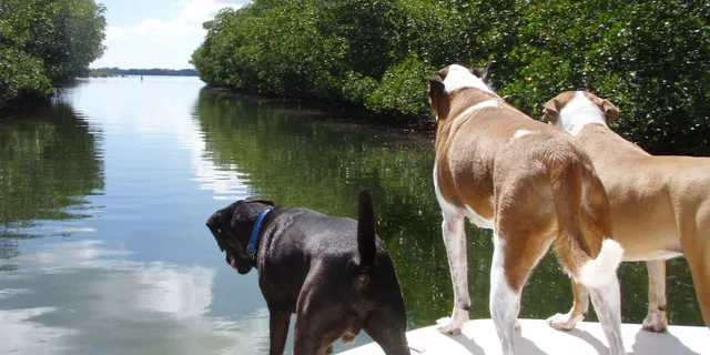 Islamorada Private Boat Tour with Snorkeling - Image 2