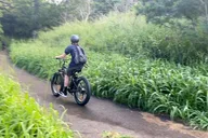 Maui Self-Guided Electric Bike Tour 2 hr thumbnail 6