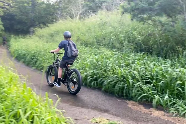 Maui Self-Guided Electric Bike Tour 2 hr - Image 6