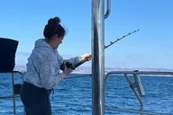 San Diego Catamaran Sunset Tour thumbnail 4