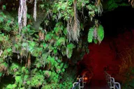 Hilo Volcano and Waterfall Tour with Lunch thumbnail 3