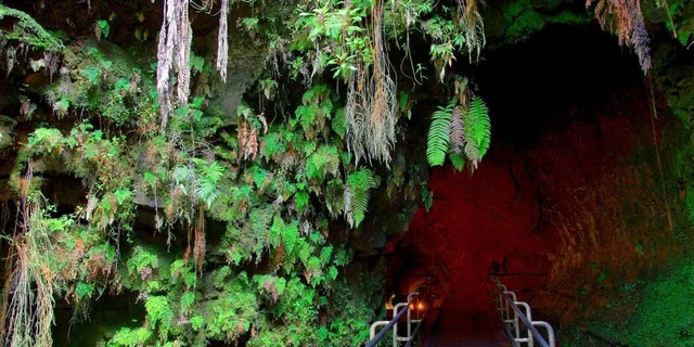 Hilo Volcano and Waterfall Tour with Lunch - Image 3