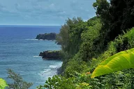 Maui Road to Hana Private Tour thumbnail 4